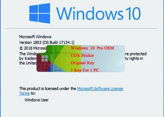 Cina Stiker COA Windows 10 Pro / OEM / Kotak Ritel dengan Kunci Asli Versi Sistem 1703 Hukum Kehidupan Menggunakan garansi pemasok