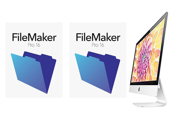 Cina Genuine FileMaker Pro 16 Paket Ritel Paket Multi Bahasa Untuk MAC pemasok